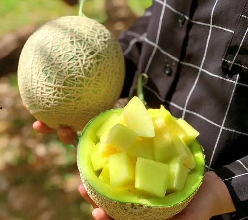 哪些地方可以娱乐圈吃瓜